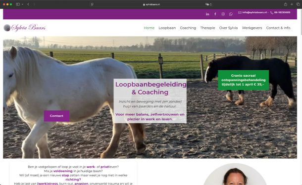 Ghekko Website Design: Sylvia Baars