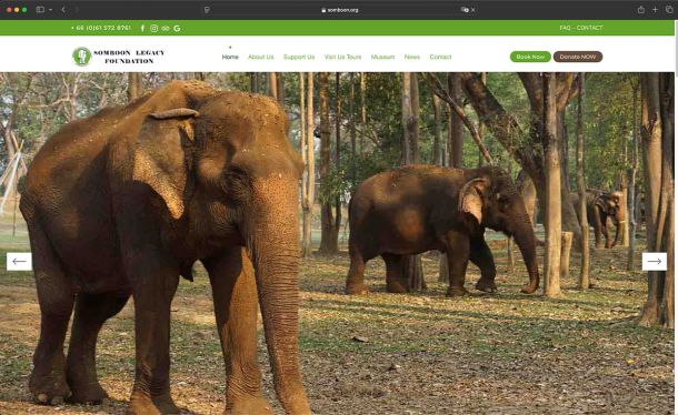 Ghekko Website Design: Somboon Legacy Foundation